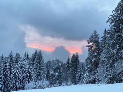 Apartment Ferienwohnung im malerischen Kniebis - Environment photo 38