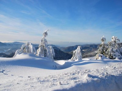 Apartment Ferienwohnung im malerischen Kniebis - Environment photo 40