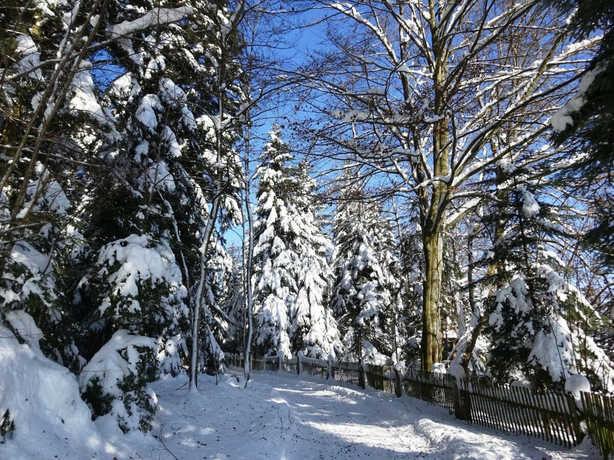 Holiday house Geräumiges Landhaus - Outdoor photo 4