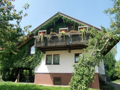 Holiday house Geräumiges Landhaus - Outdoor photo 9