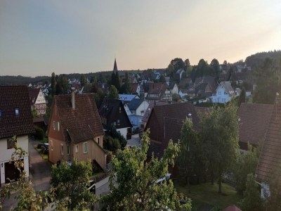 Apartment Ferienwohnung Marianne in Neuweiler - Outdoor photo 8