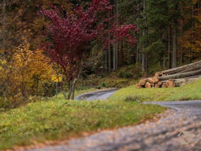 Apartment Ferienwohnung Marianne in Neuweiler - Environment photo 21