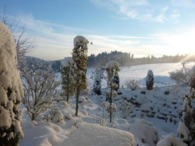 Apartment Ferienwohnung Marianne in Neuweiler - Environment photo 25