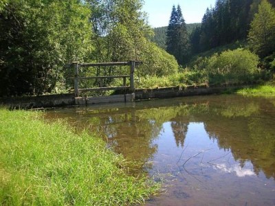 Apartment Ferienwohnung Marianne in Neuweiler - Environment photo 27
