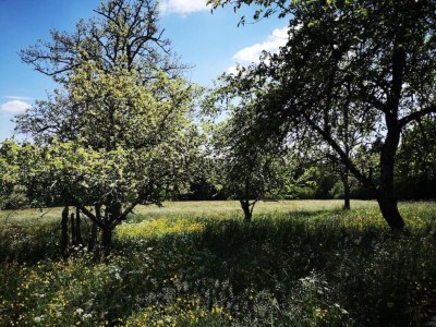 Apartment Ferienwohnung Marianne in Neuweiler - Environment photo 28