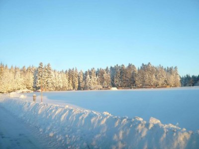 Apartment Ferienwohnung Marianne in Neuweiler - Environment photo 29