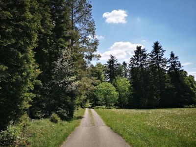 Apartment Ferienwohnung Marianne in Neuweiler - Environment photo 30
