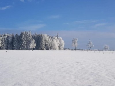 Apartment Ferienwohnung Marianne in Neuweiler - Environment photo 32