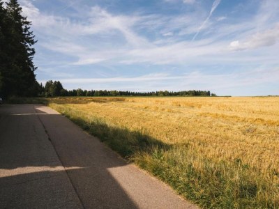 Apartment Ferienwohnung Marianne in Neuweiler - Environment photo 33