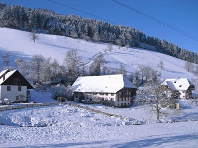 Apartment Ruhiges Bauernhaus, Hofstetten - Outdoor photo 10