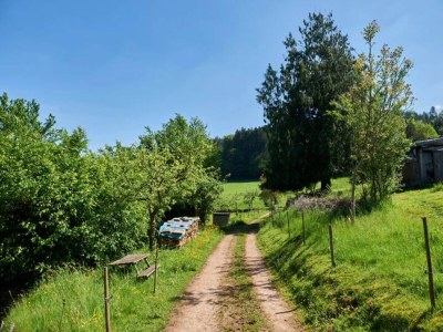 Apartment Ruhiges Bauernhaus, Hofstetten - Environment photo 23