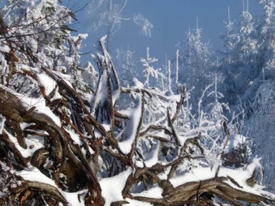 Apartment Ruhiges Bauernhaus, Hofstetten - Environment photo 24