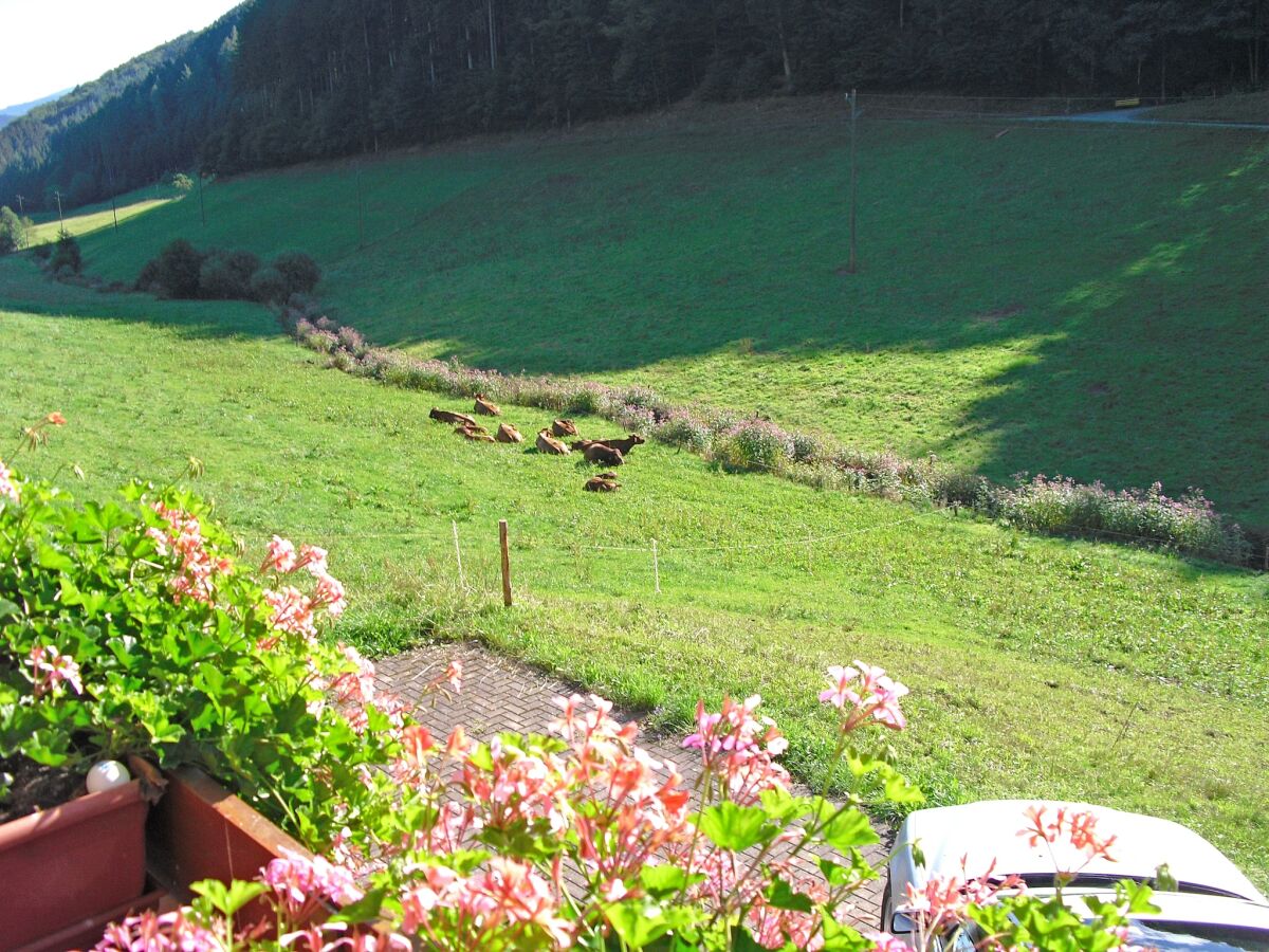 Apartment Farmhouse Escape in Hofstetten - Outdoor photo 5