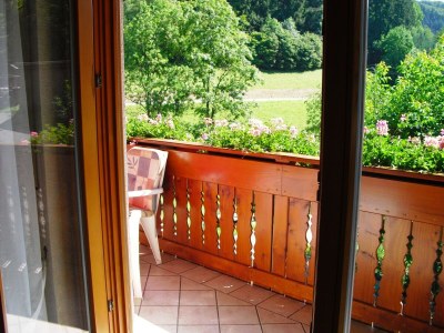 Apartment Farmhouse Escape in Hofstetten - Outdoor photo 9