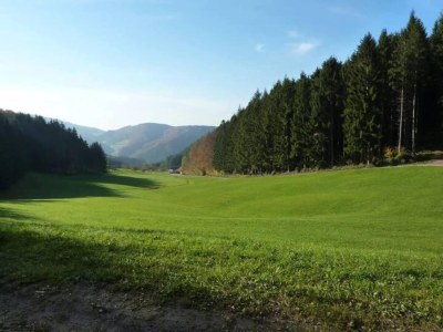 Apartment Farmhouse Escape in Hofstetten - Environment photo 25