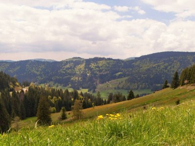 Apartment Farmhouse Escape in Hofstetten - Environment photo 30