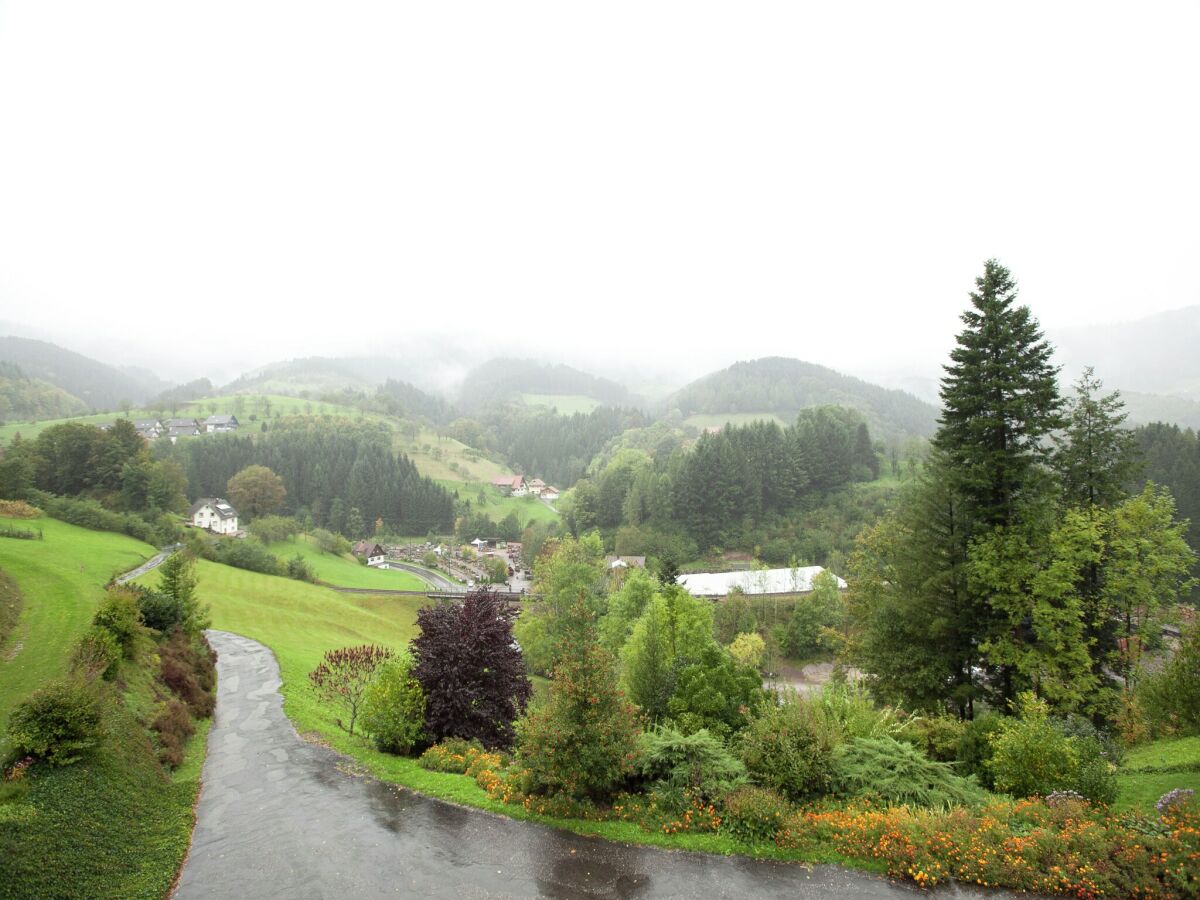 Apartment Ferienwohnung, Bad Peterstal - Outdoor photo 3