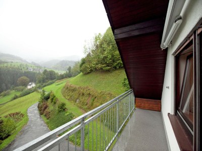 Apartment Ferienwohnung, Bad Peterstal - Outdoor photo 5