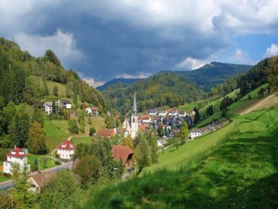 Apartment Ferienwohnung, Bad Peterstal - Environment photo 25