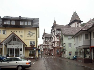 Apartment Ferienwohnung, Bad Peterstal - Environment photo 30