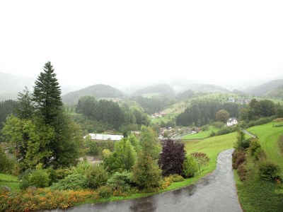 Apartment Ferienwohnung, Bad Peterstal - Environment photo 31