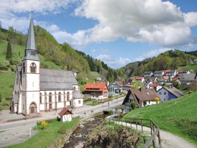 Apartment Ferienwohnung, Bad Peterstal - Environment photo 32