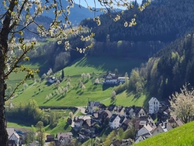 Apartment Ferienwohnung, Bad Peterstal - Environment photo 34