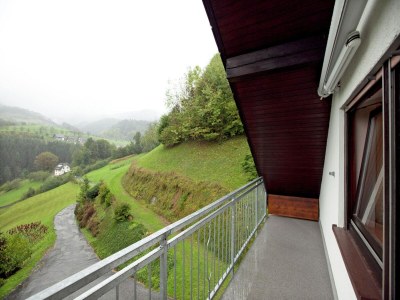 Apartment Ferienwohnung mit Weinbergblick - Outdoor photo 8