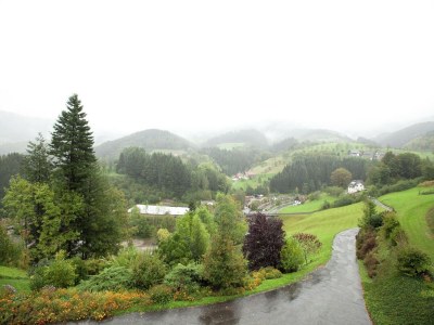 Apartment Ferienwohnung mit Weinbergblick - Outdoor photo 15