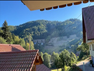 Apartment Ferienwohnung mit Weinbergblick - Environment photo 33