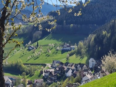 Apartment Ferienwohnung mit Weinbergblick - Environment photo 34