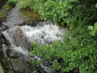 Apartment Urige Ferienwohnung in Schiltach - Environment photo 15