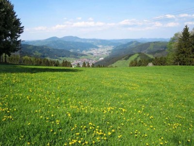 Apartment Urige Ferienwohnung in Schiltach - Environment photo 17