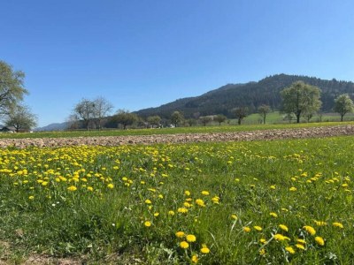 Apartment Urige Ferienwohnung in Schiltach - Environment photo 28
