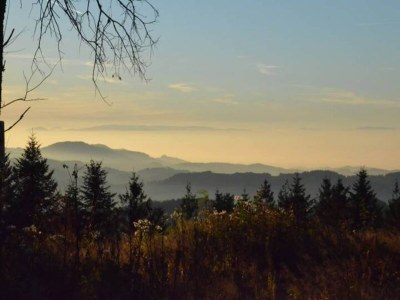 Apartment Urige Ferienwohnung in Schiltach - Environment photo 36