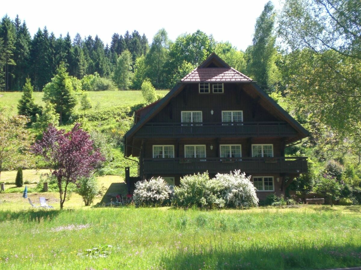 Apartment Hideaway near Black Forest - Outdoor photo 2