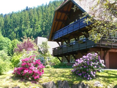 Apartment Hideaway near Black Forest - Outdoor photo 6