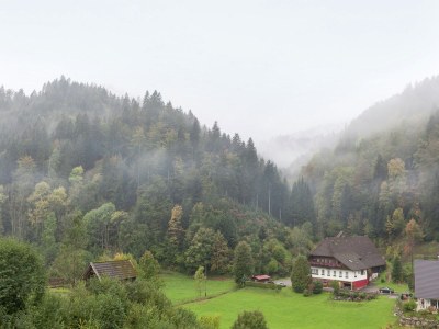 Apartment Hideaway near Black Forest - Outdoor photo 7