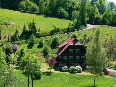 Apartment Hideaway near Black Forest - Outdoor photo 8