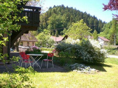 Apartment Hideaway near Black Forest - Outdoor photo 9