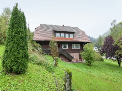 Apartment Hideaway near Black Forest - Outdoor photo 10