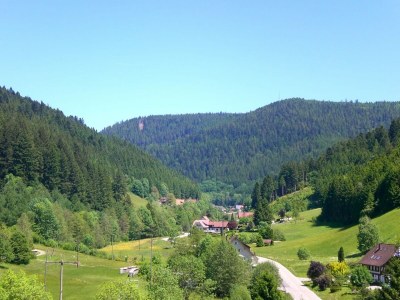 Apartment Hideaway near Black Forest - Environment photo 19