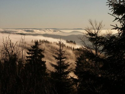 Apartment Hideaway near Black Forest - Environment photo 21