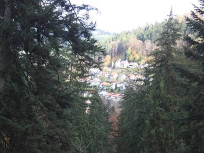 Apartment Hideaway near Black Forest - Environment photo 23