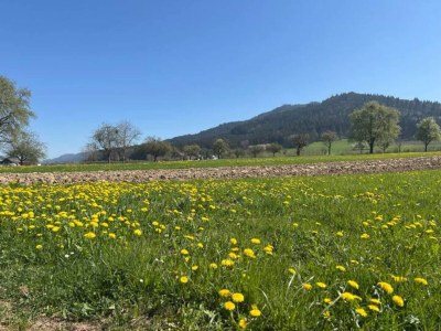 Apartment Hideaway near Black Forest - Environment photo 25