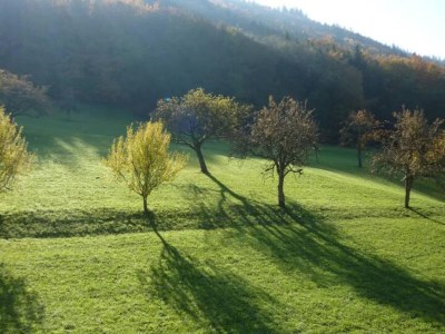 Apartment Hideaway near Black Forest - Environment photo 26