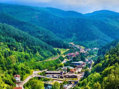 Apartment Hideaway near Black Forest - Environment photo 30