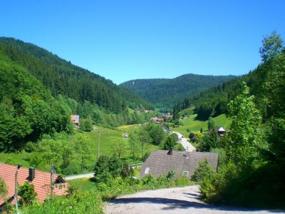 Apartment Hideaway near Black Forest - Environment photo 31