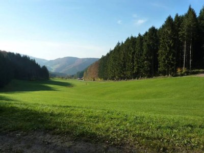 Apartment Hideaway near Black Forest - Environment photo 34