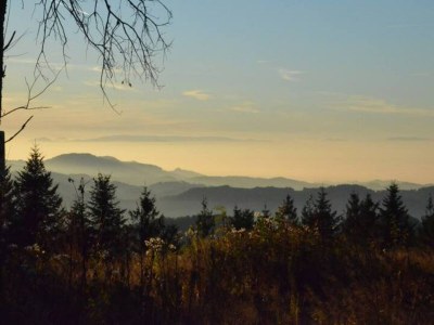 Apartment Hideaway near Black Forest - Environment photo 35